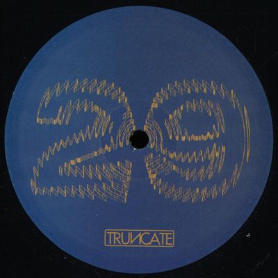 Truncate — FORGOTTEN vinyl cover