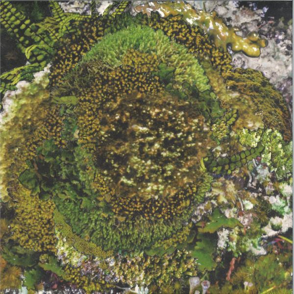 Kinzua — Never Fret, Never Fail EP vinyl cover