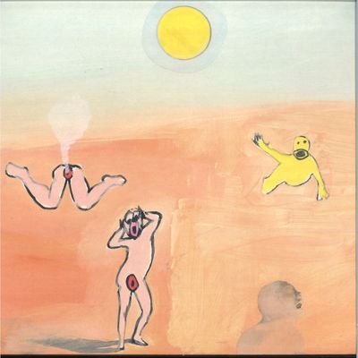Roger 3000 — Reste Envie LP vinyl cover