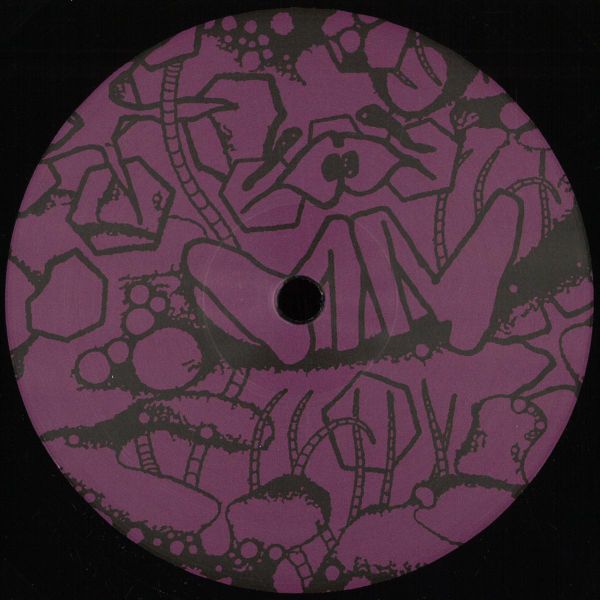 Aiden Francis — Floral Oceans vinyl cover