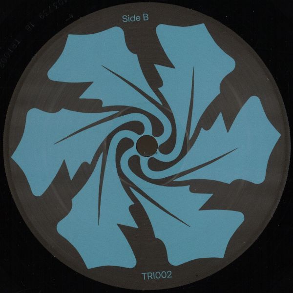 Not A Headliner — Desobediencia como virtud vinyl cover