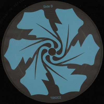 Not A Headliner — Desobediencia como virtud vinyl cover