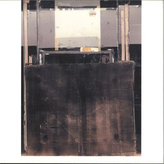 A Large Sheet Of Muscle