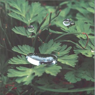 Cousin — HomeSoon vinyl cover