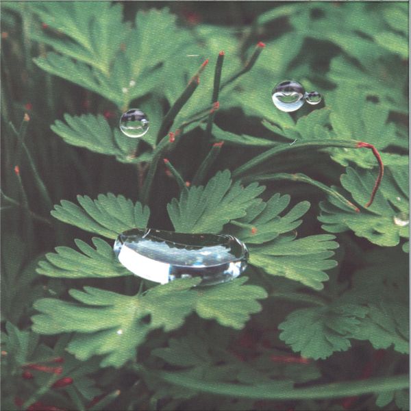 Cousin — HomeSoon vinyl cover