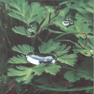 Cousin — HomeSoon vinyl cover