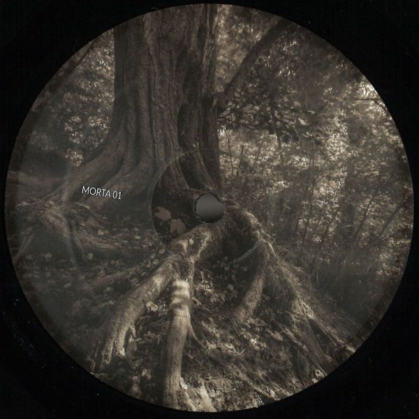Viiks, Destroy Computers — Human Disgrace EP vinyl cover