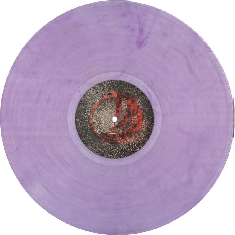 Various — Vivendum 5 vinyl cover