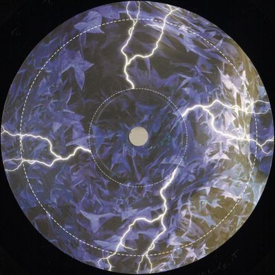 Ian F — Ian F vinyl cover