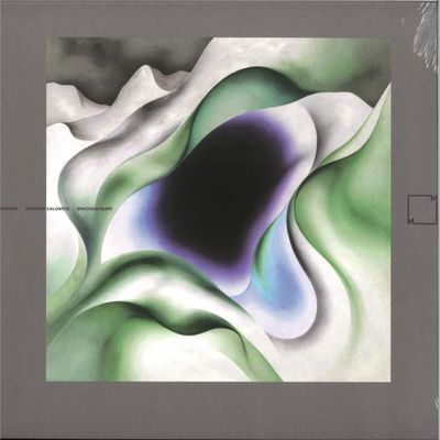 Anthony Calonico — SPACIOUS HEART LP 2x12" vinyl cover