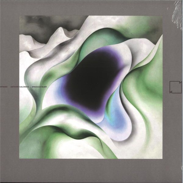 Anthony Calonico — SPACIOUS HEART LP 2x12" vinyl cover