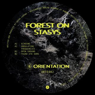 Forest On Stasys — Third Eye Dome vinyl cover