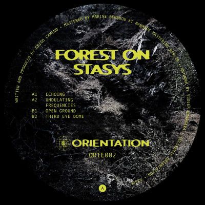 Forest On Stasys — Third Eye Dome vinyl cover