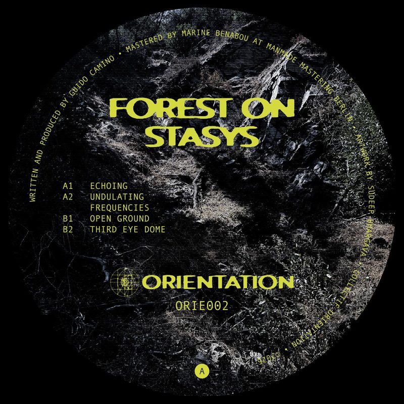 Forest On Stasys — Third Eye Dome vinyl cover