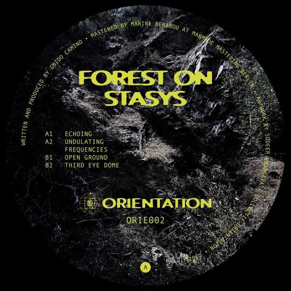 Forest On Stasys — Third Eye Dome vinyl cover