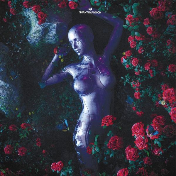 Amonita — Uletai vinyl cover