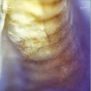 Eluna Vex, A.B.E.L. — TECH043 vinyl cover