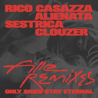 Fille — ONLY SKIES STAY ETERNAL - REMIXES EP vinyl cover