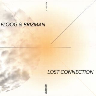 Floog, Brizman — Lost Connection vinyl cover