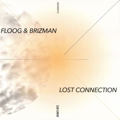 Floog, Brizman — Lost Connection vinyl cover