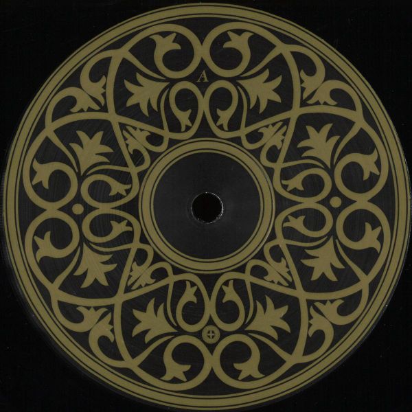 Spk — Zamia Lehmanni 2x12 vinyl cover