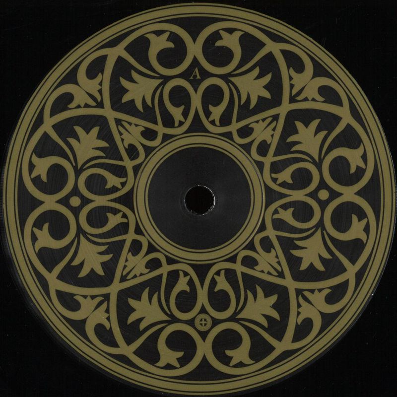 Spk — Zamia Lehmanni 2x12 vinyl cover