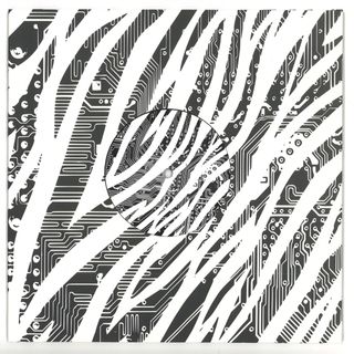 Dvs Nme — Class Conflict EP 10" vinyl cover