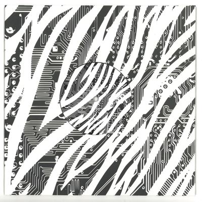 Dvs Nme — Class Conflict EP 10" vinyl cover