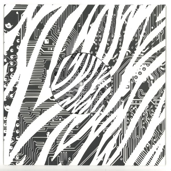 Dvs Nme — Class Conflict EP 10" vinyl cover