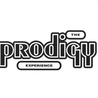 The Prodigy — Experience LP 2x12" vinyl cover