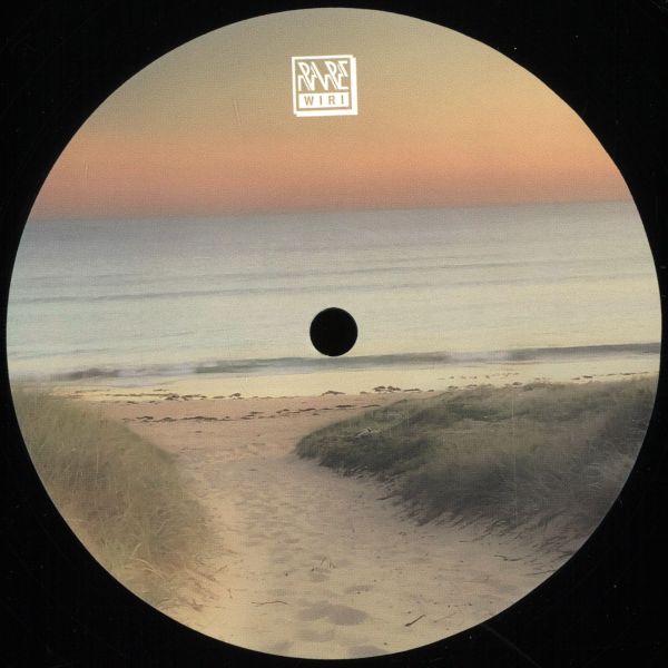 Rayko — Vadillo Vice Vol.2 vinyl cover