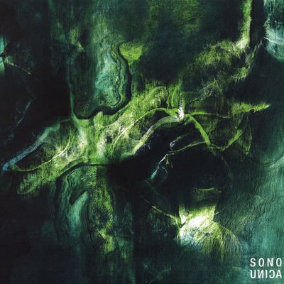 Vincent Casanova — Northern Lights vinyl cover