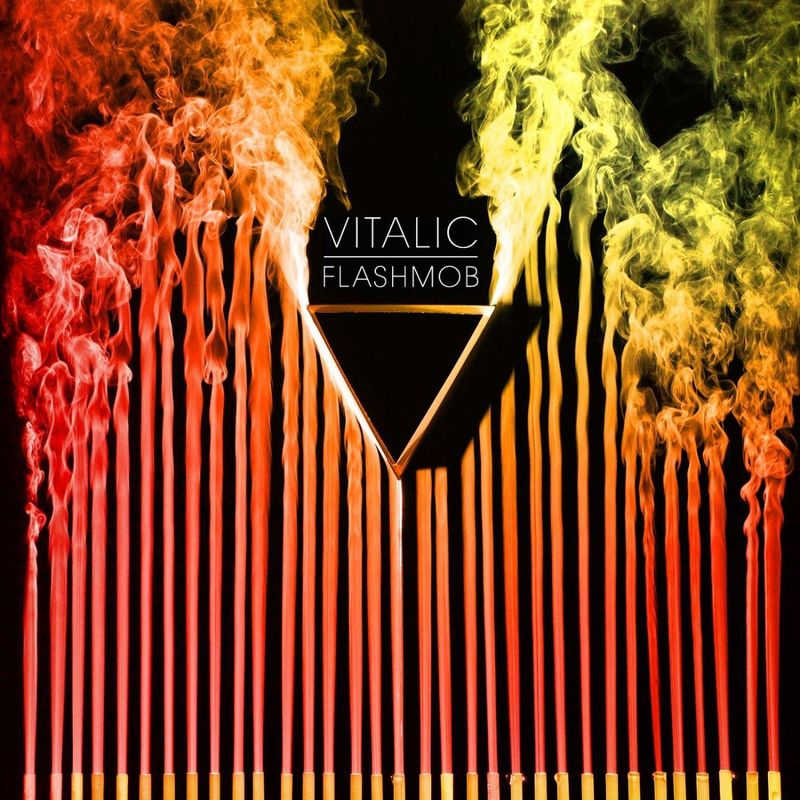 Vitalic — Flashmob (2026 Edition) LP 2x12" vinyl cover