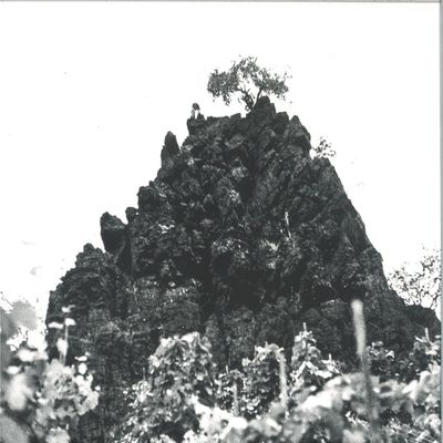 Kat Davids — winterswell vinyl cover