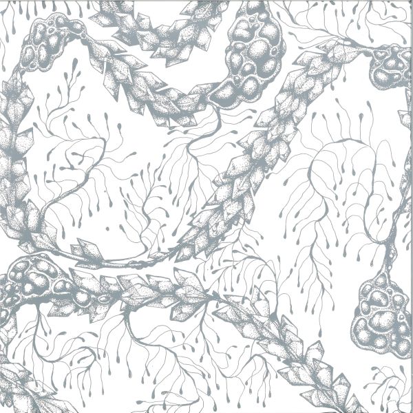 Cx — Formula EP vinyl cover