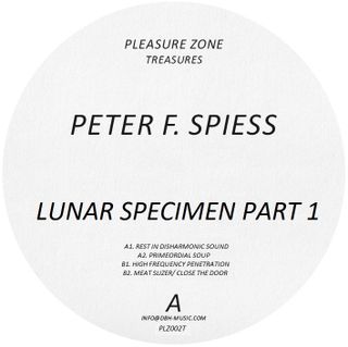 Pleasure Zone
