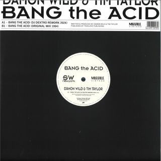 Damon Wild, Tim Taylor — BANG THE ACID vinyl cover