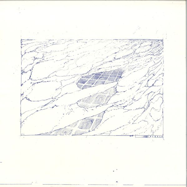 Miradasvacas — Of No Fixed Abode LP vinyl cover