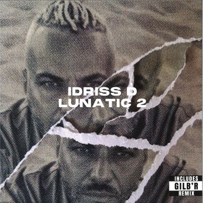 Idriss D — Lunatic 2 vinyl cover