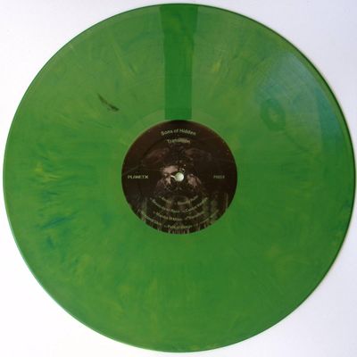 Sons Of Hidden — Transition vinyl cover