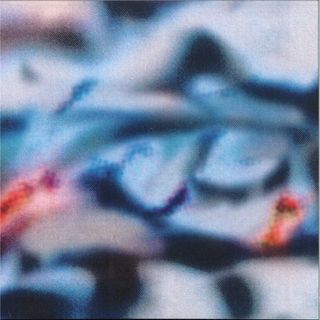 Shoal