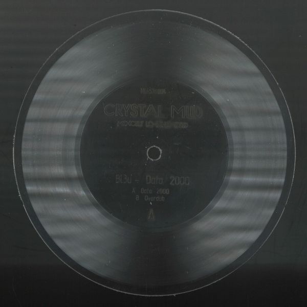 Bl3U — Data 2000 EP vinyl cover