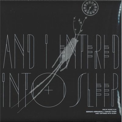 Sergio Armaroli, David Toop — Decay Music n.10: And I Entered Into Sleep vinyl cover