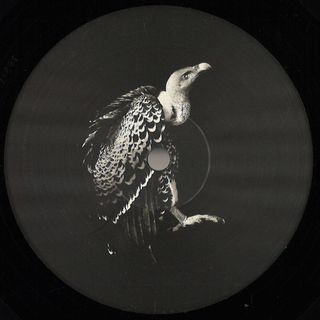 Viels, Pyramidal Decode — Processo Irreversibile EP vinyl cover