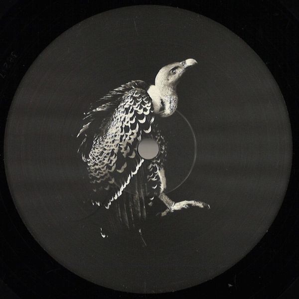 Viels, Pyramidal Decode — Processo Irreversibile EP vinyl cover