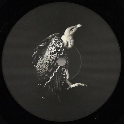 Viels, Pyramidal Decode — Processo Irreversibile EP vinyl cover