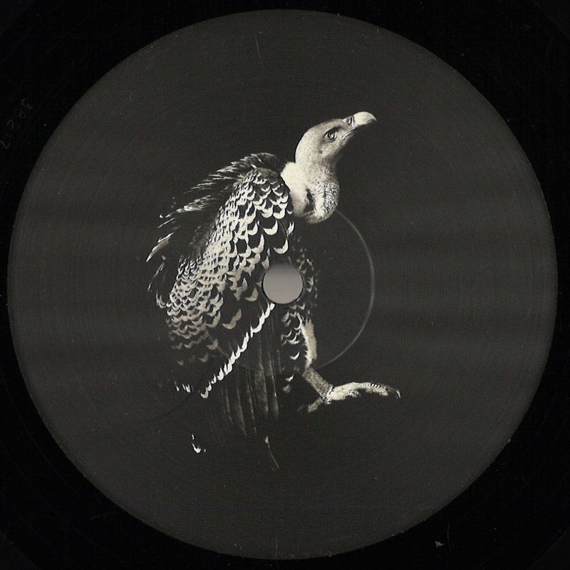 Viels, Pyramidal Decode — Processo Irreversibile EP vinyl cover