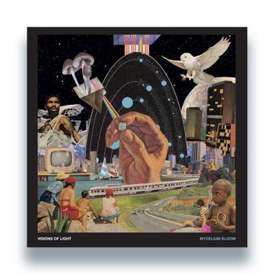 Visions of Light — Mycelium Bloom LP vinyl cover