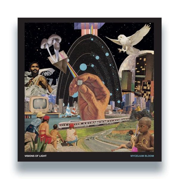 Visions of Light — Mycelium Bloom LP vinyl cover