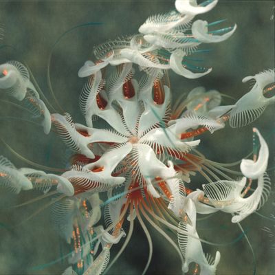 Cassian — Dun Dun vinyl cover